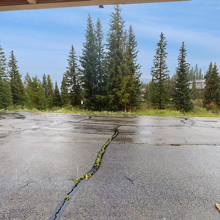 Buffalo Ridge Condos Silverthorne Bilik gambar