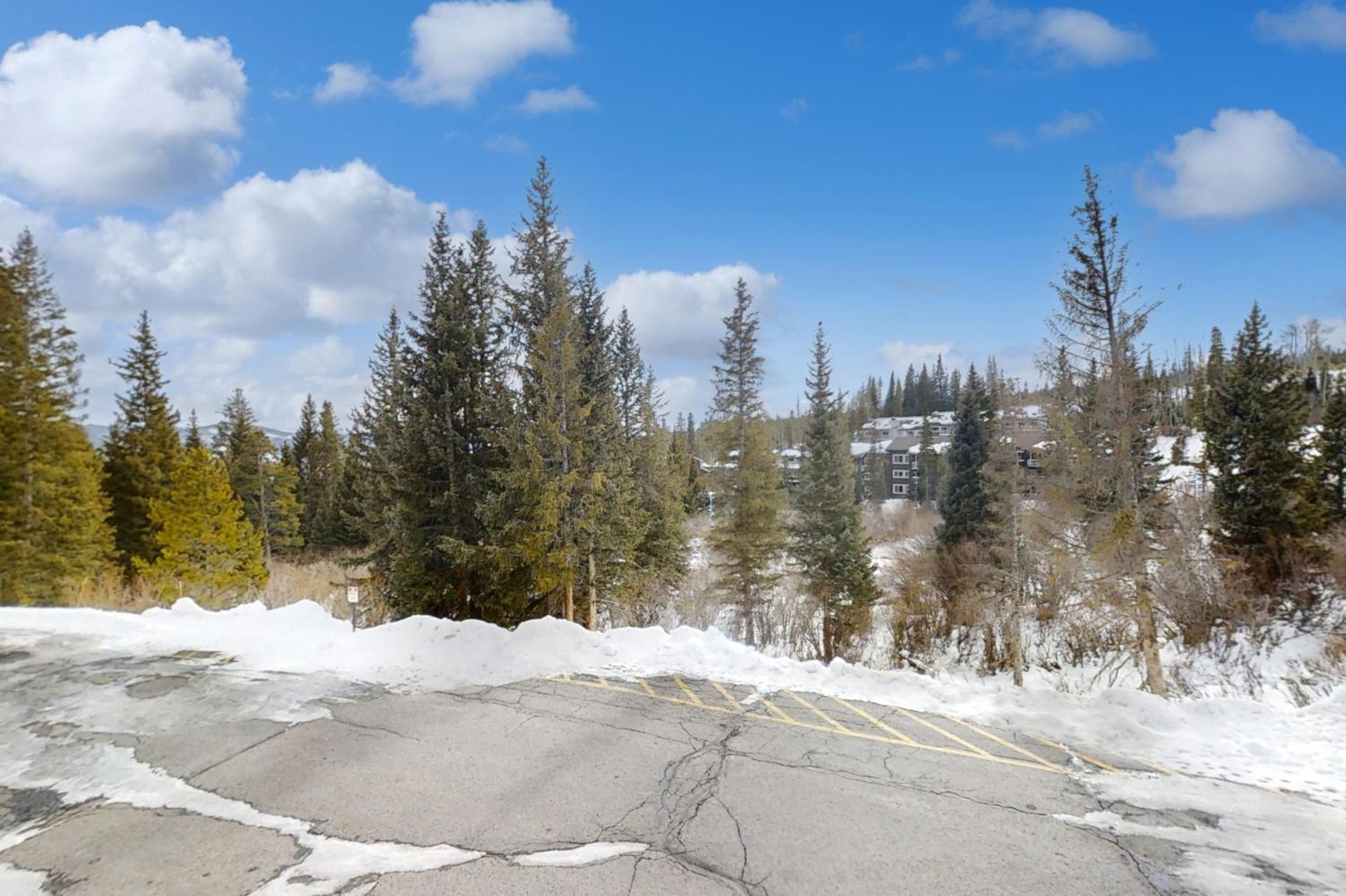 Buffalo Ridge Condos Silverthorne Bilik gambar