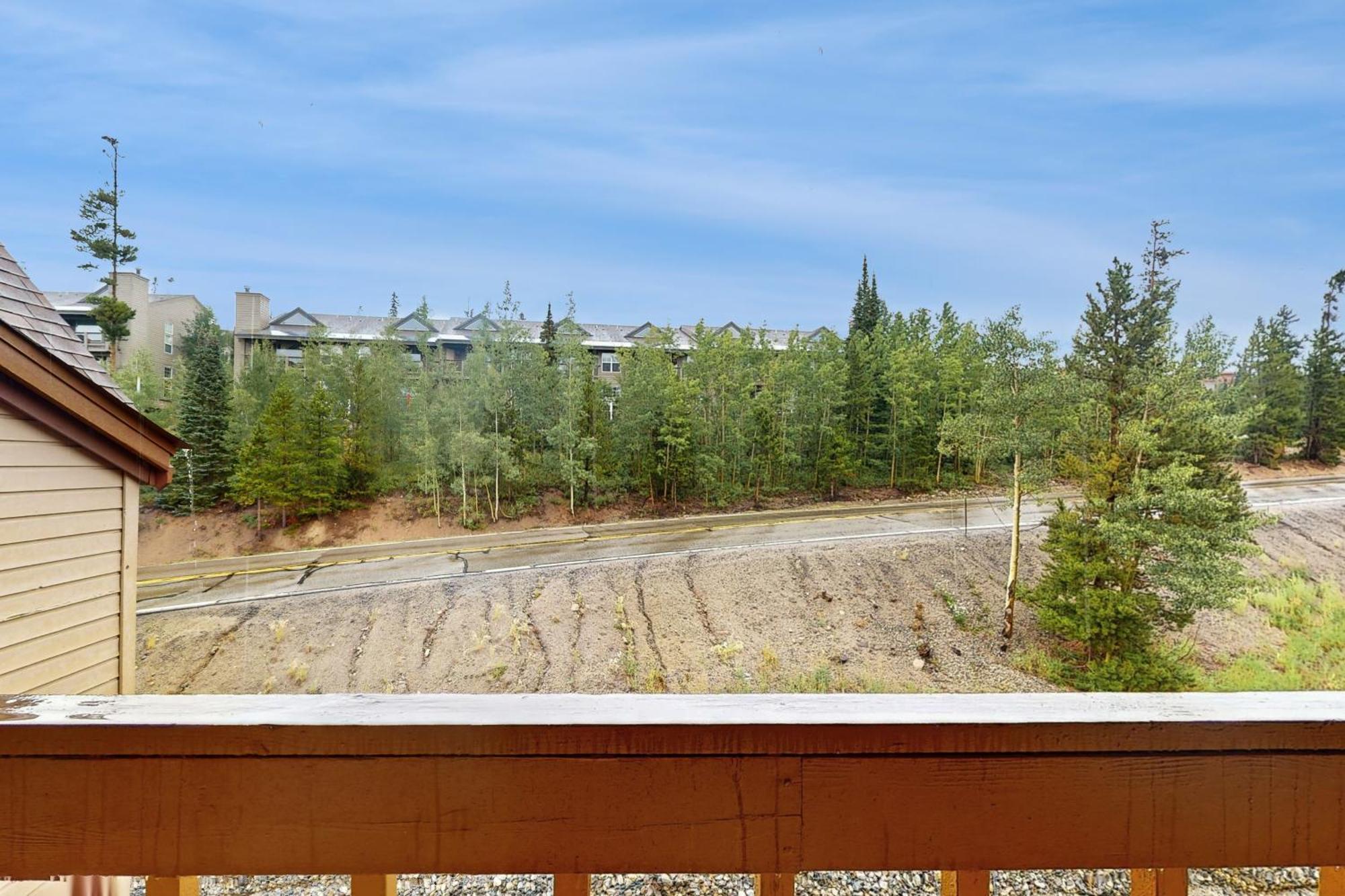 Buffalo Ridge Condos Silverthorne Bilik gambar